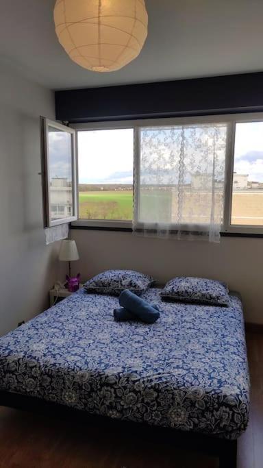 Charmant Appartement Proche Melun Centre Ville المظهر الخارجي الصورة